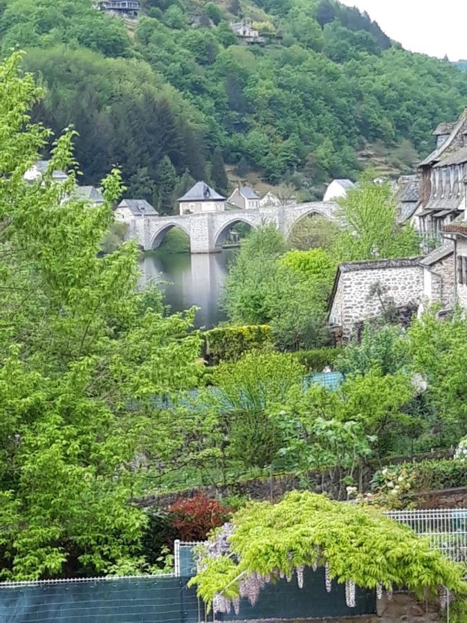 Suite Avec Vue Panoramique Sur La Truyere Entraygues-sur-Truyère Buitenkant foto