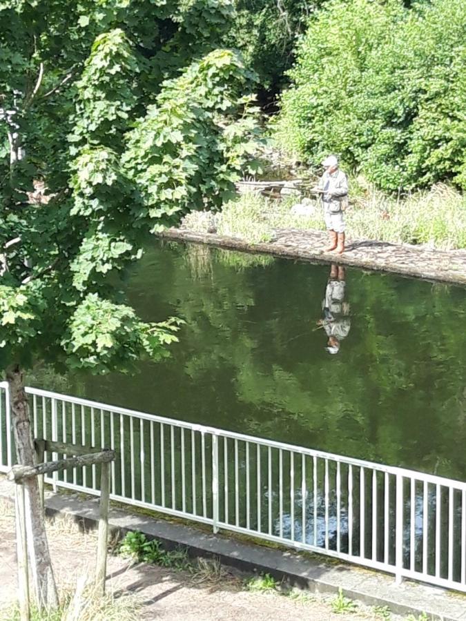 Suite Avec Vue Panoramique Sur La Truyere Entraygues-sur-Truyère Buitenkant foto